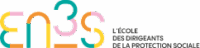 Logo-EN3S